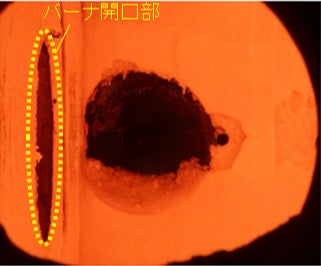図3.通常カメラで撮影した アンモニア専焼火炎