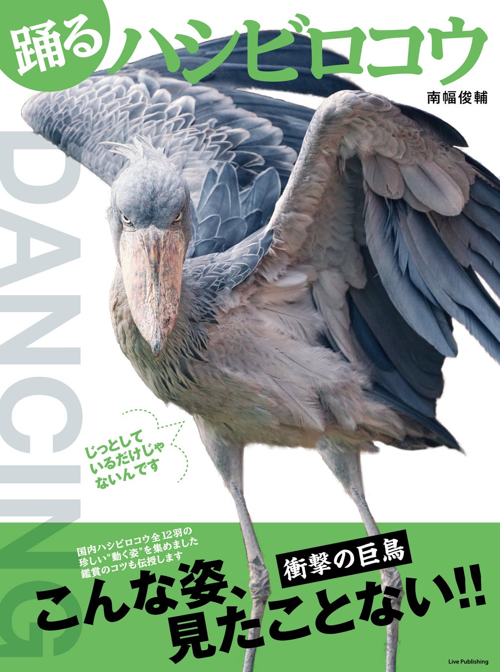 動かないことで有名な あの鳥 の珍しい姿を集めた写真集 踊るハシビロコウ Amazon 楽天ブックスなどで予約受付開始 全国の書店では5月12日に一斉発売 株式会社ライブ パブリッシングのプレスリリース 動かないことで有名な あの鳥 の珍しい姿を集めた写真集 踊るハシビロコウ Amazon 楽天ブックスなどで予約受付開始 全国の書店では5月12日に一斉発売 株式会社ライブ パブリッシングのプレスリリース