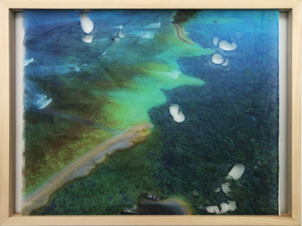 Taiji Terasaki個展 Paradise Reborn: Rewilding Palmyra ー楽園の再生