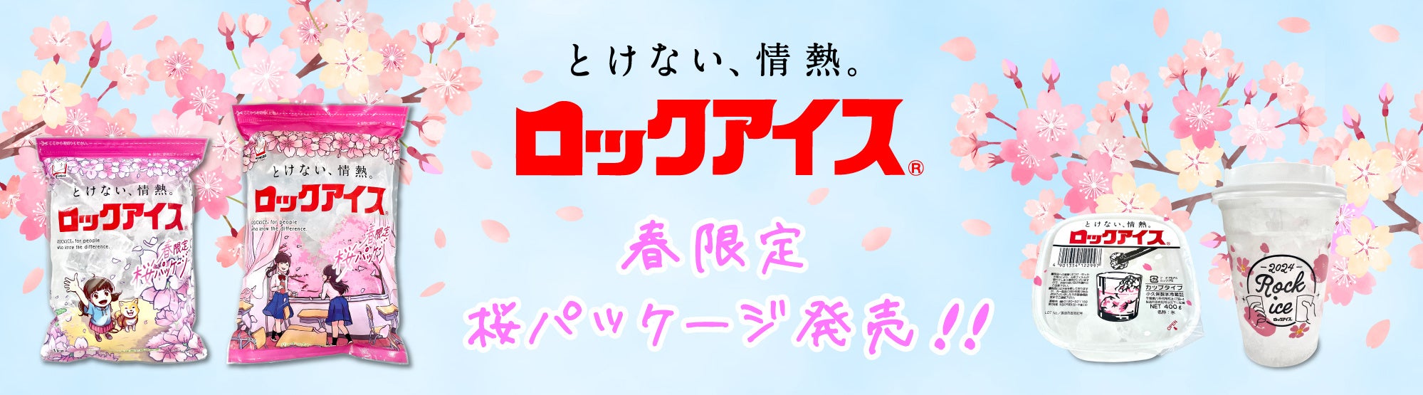 【即購入可】【特価】ブロックチケットまとめうり えっくす☆きゅーと特別企画第三弾！「Star Sprinkles/ Moon