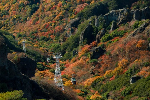 小豆島観光がもっとお得に!寒霞渓ロープウェイ往復乗車券引換券を、ジャンボフェリー神戸のりばで販売開始 小豆島観光がもっとお得に!寒霞渓ロープウェイ往復乗車券引換券を、ジャンボフェリー神戸のりばで販売開始