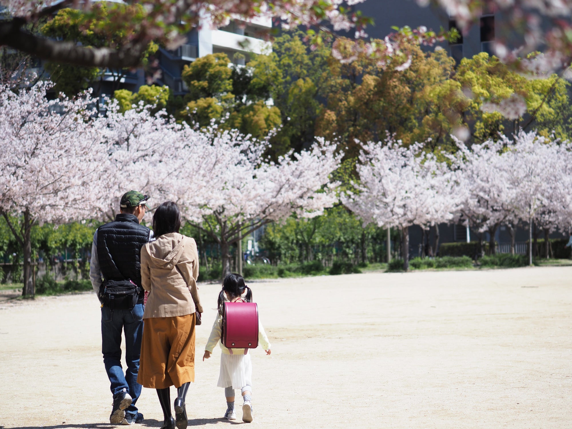 毎年、桜の咲く時期に開催