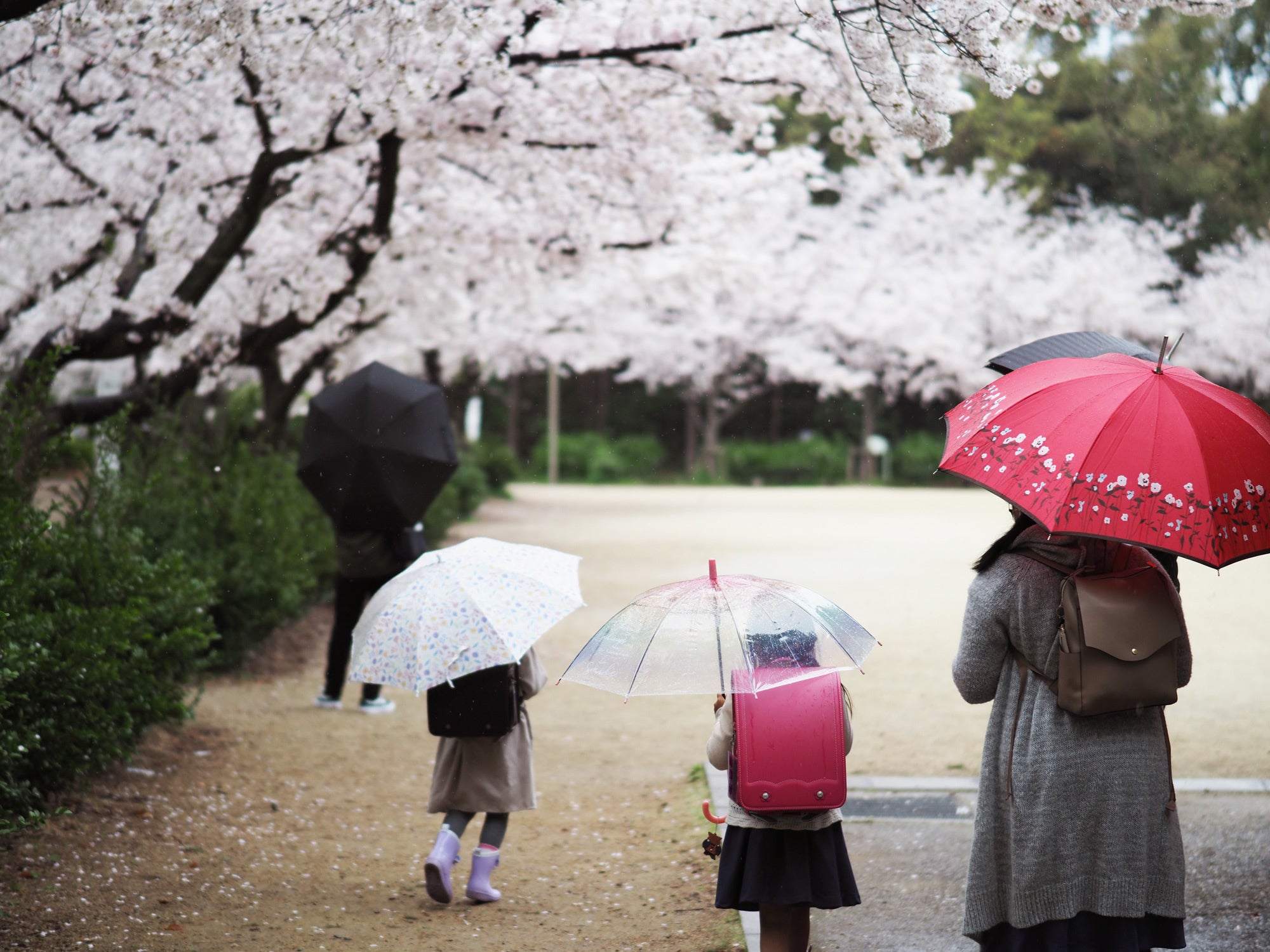雨天でも開催される