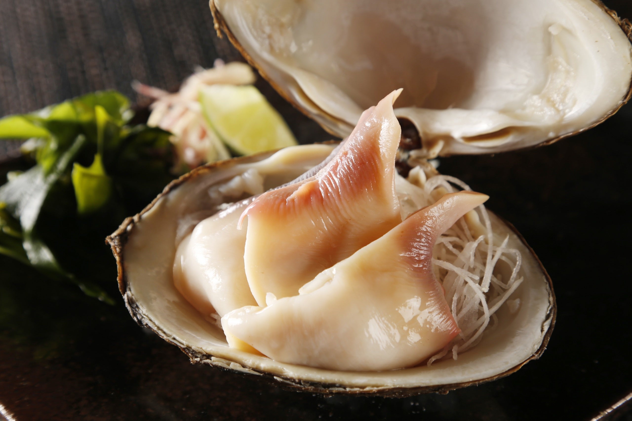 殻付き ホッキ貝