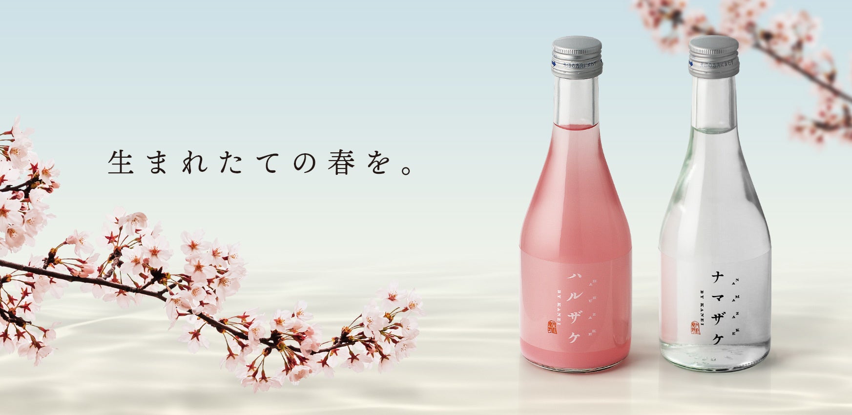 桜を見る会 酒ます maxresdefault.jpg