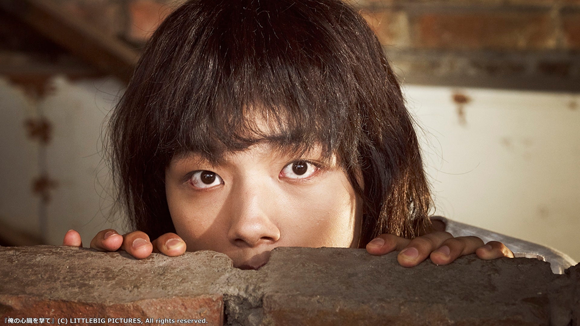 ©LITTLEBIG PICTURES, All rights reserved.