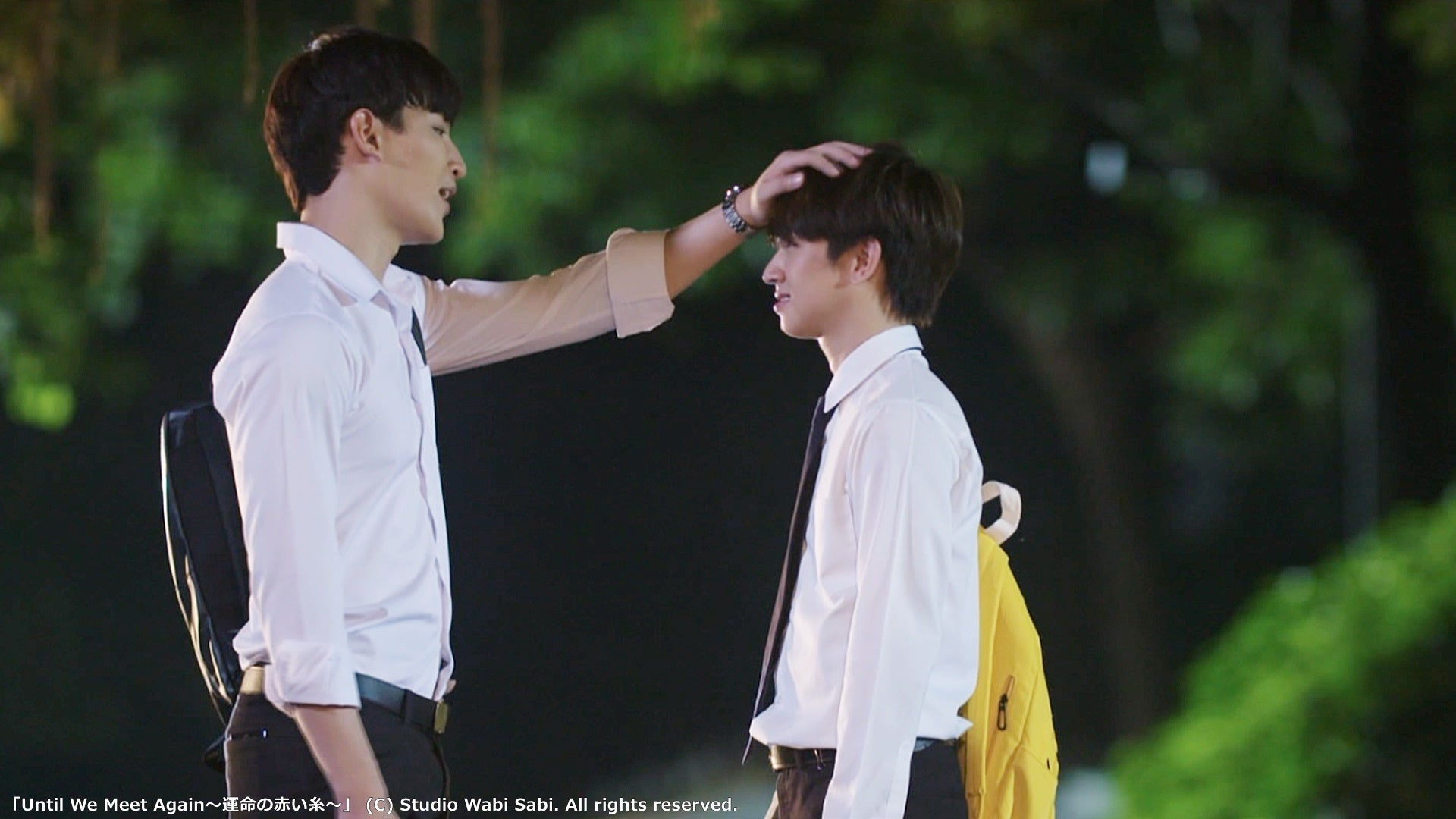 (C)Studio Wabi Sabi. All rights reserved.