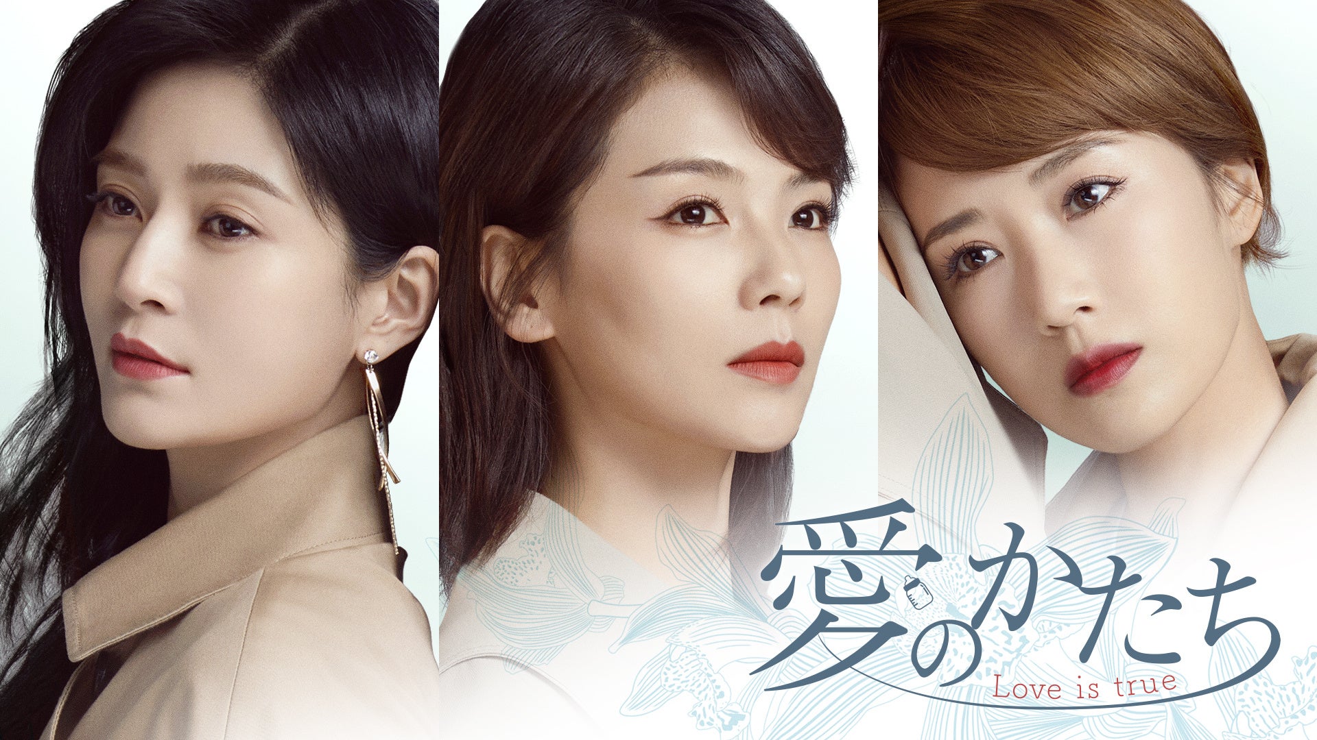 (C)Zhejiang Dongyang Haohan Television & Entertainment Co.,Ltd.