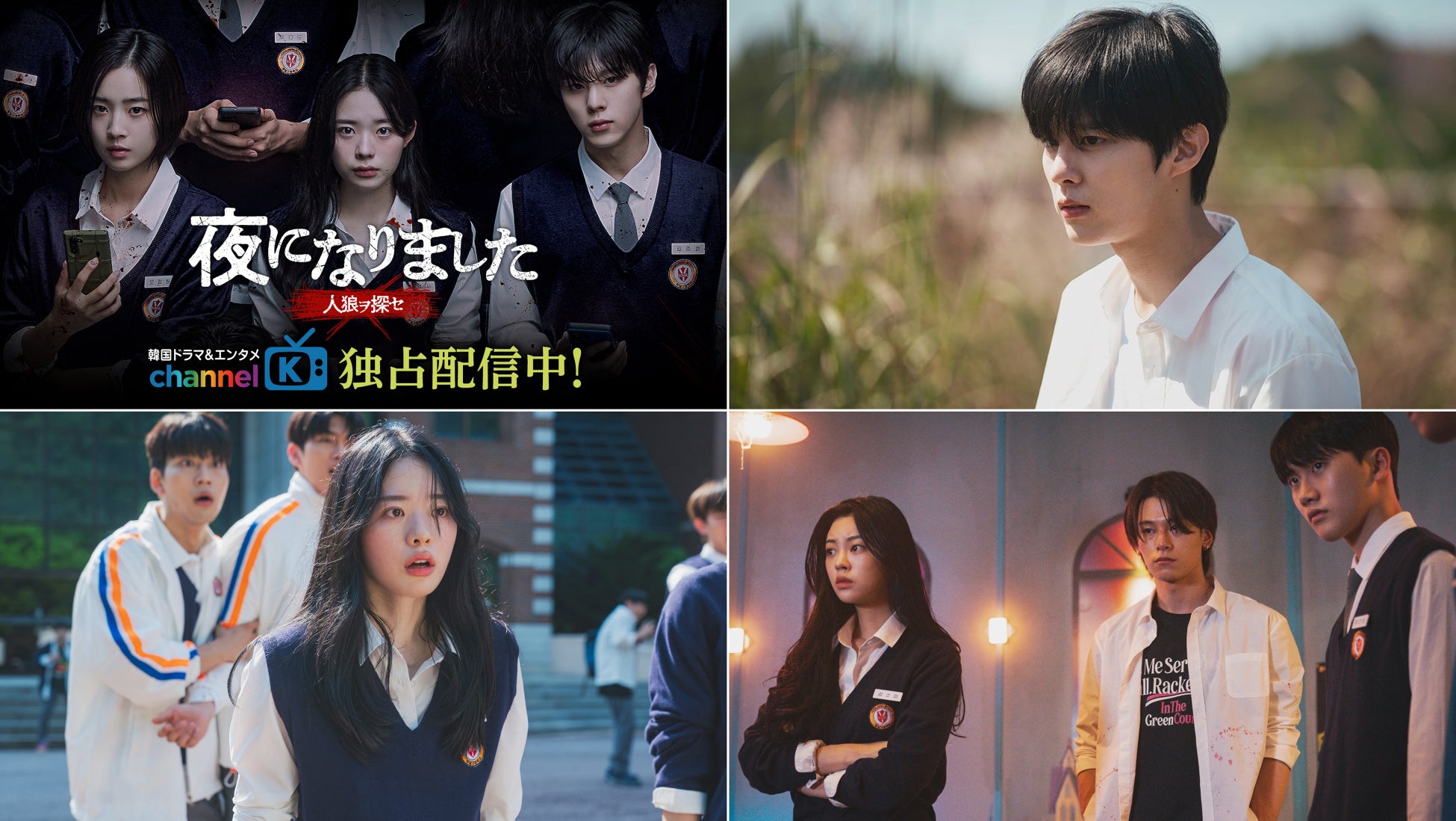 ⓒSTUDIO X+U All rights reserved.