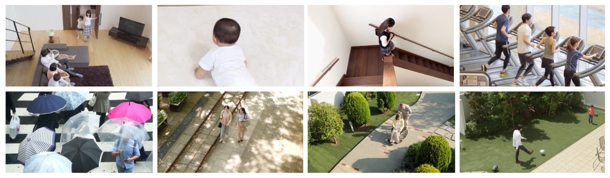 動画データセット内容の一部