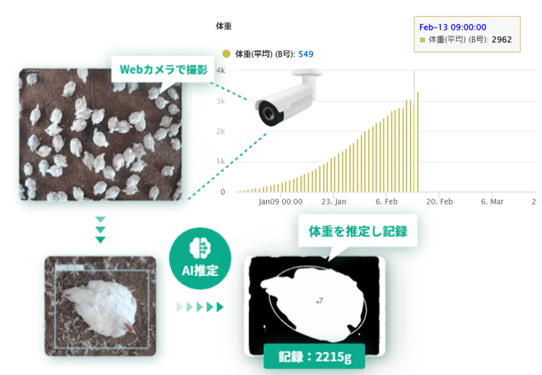 Webカメラの画像をAI分析しニワトリの体重を推定