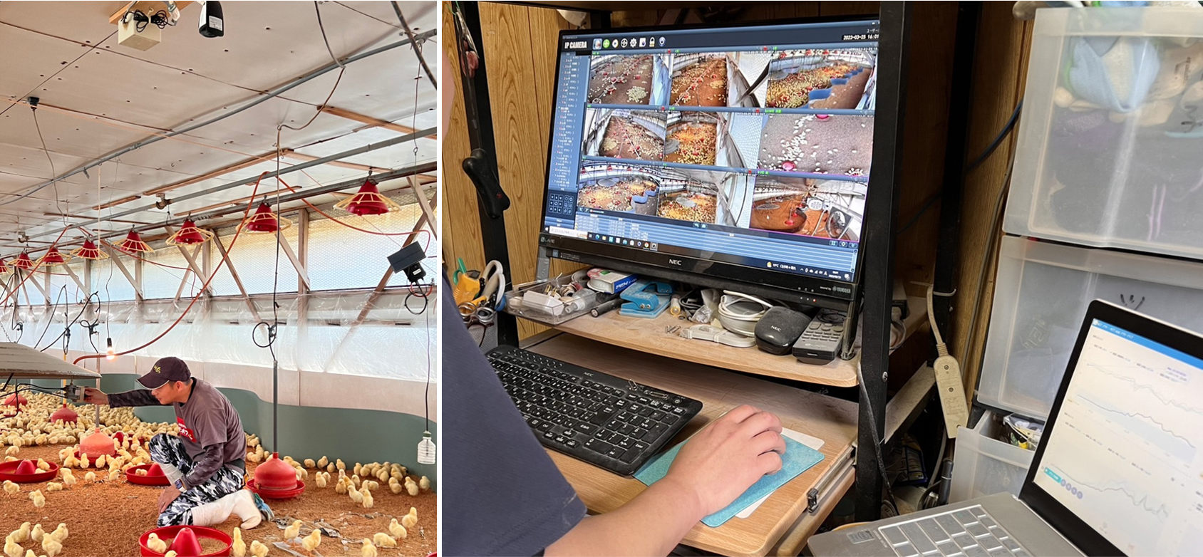 青木ブロイラー 養鶏生産にセンサーやWebカメラを活用しIT化やDX化を積極的に推進