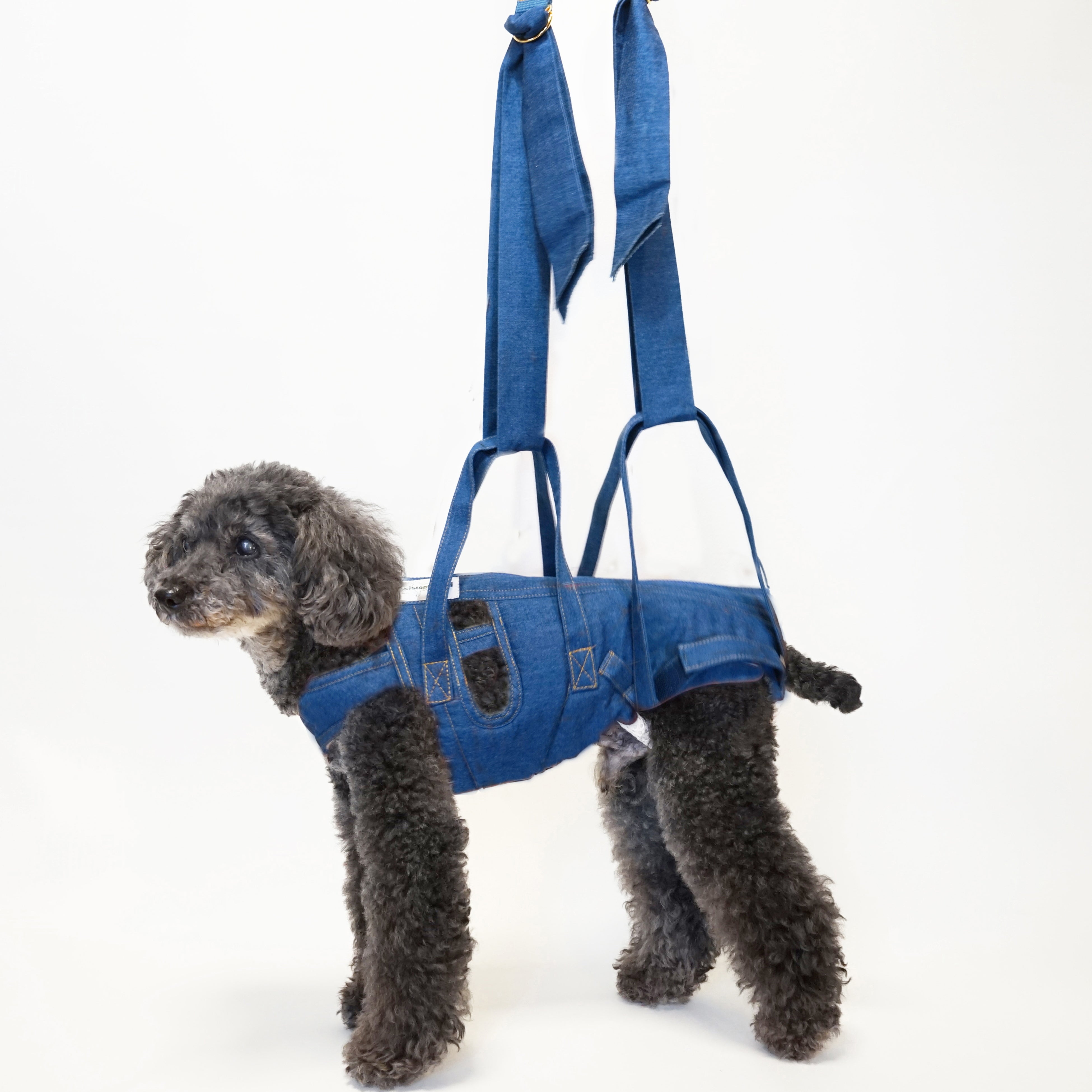 アシスタントバンド デニム