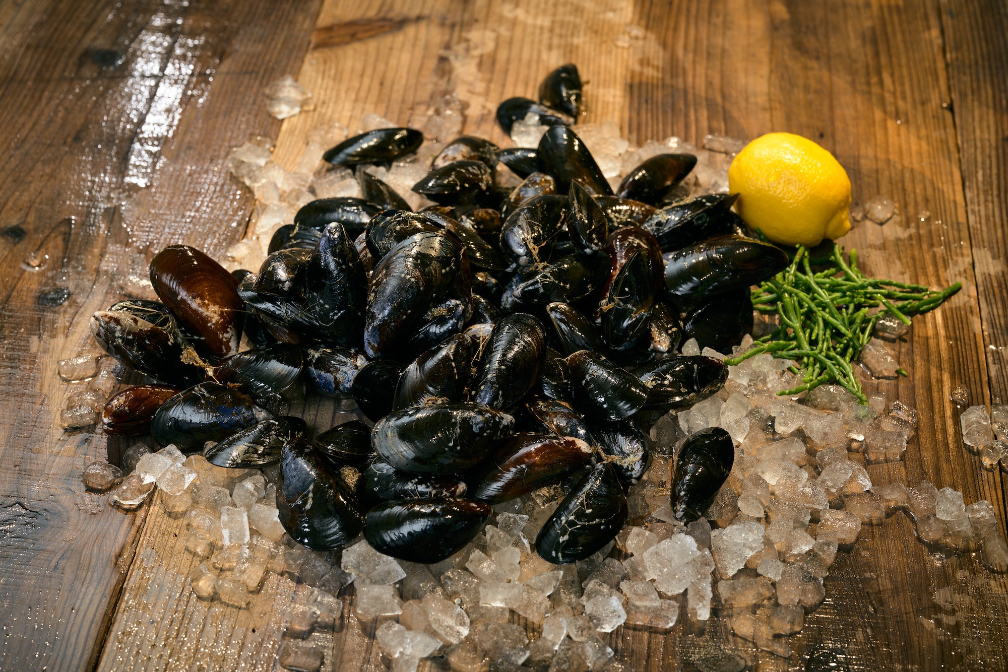 活ムール貝の量り売りを実施