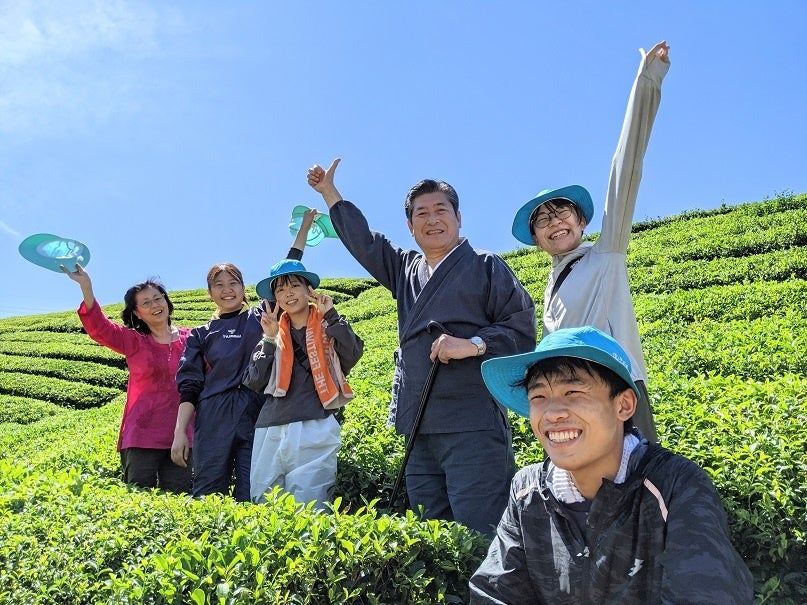 夏の有機茶園で雑草の草むしり
