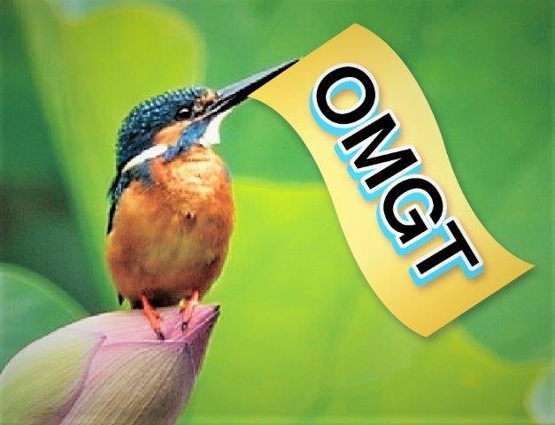 OMGT ®のマスコットバード、カワセミ