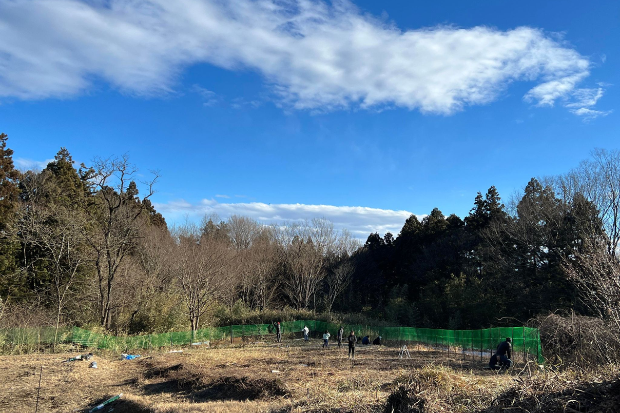 国産シルクを守る クラウドファンディング第2弾 自社養蚕に必須の 桑の木 の苗を植えるプロジェクトを3月1日よりreadyforにて開始 株式会社next New Worldのプレスリリース