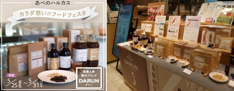 高麗人参 ガラス容器入り お宝］高麗人参のガラス容器