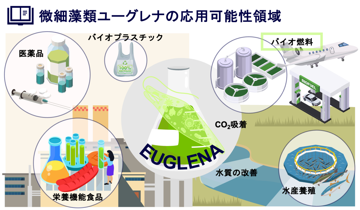 MEMORY LABのサービスを活用した網羅的に市場分野を探索した事例