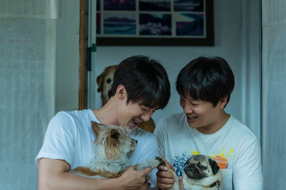 ⓒ 2023. Yworks Entertainment Co.,Ltd. All rights reserved.