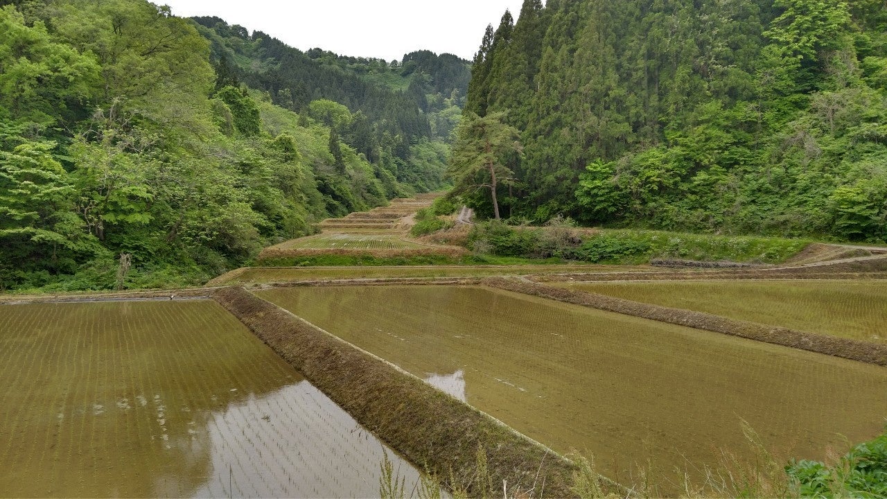 大積エリアの様子