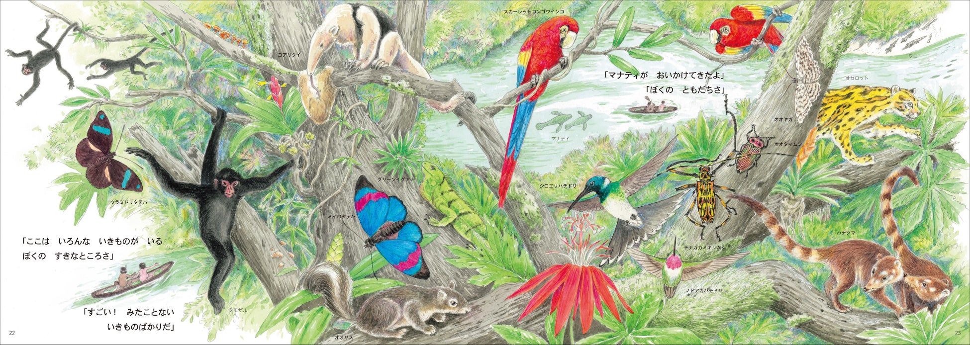 まつおかたつひでさん新作絵本 おふろのなかのジャングルたんけん 6月2日発売 美しいアマゾンの自然と60種以上の生きものたちは必見 株式会社 童心社のプレスリリース まつおかたつひでさん新作絵本 おふろのなかのジャングルたんけん 6月2日発売 美しいアマゾンの自然と60種以上の生きものたちは必見 株式会社 童心社のプレスリリース