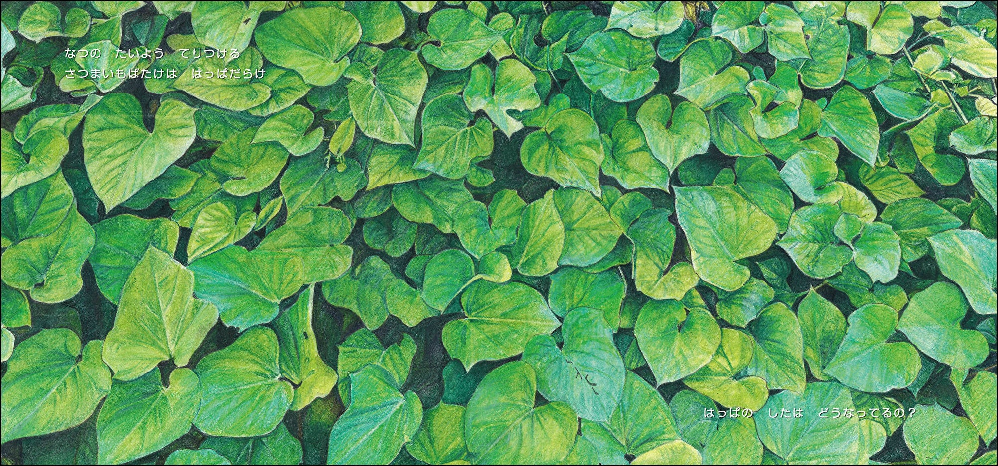 『ごろんずっしり さつまいも』（いわさゆうこ　さく）