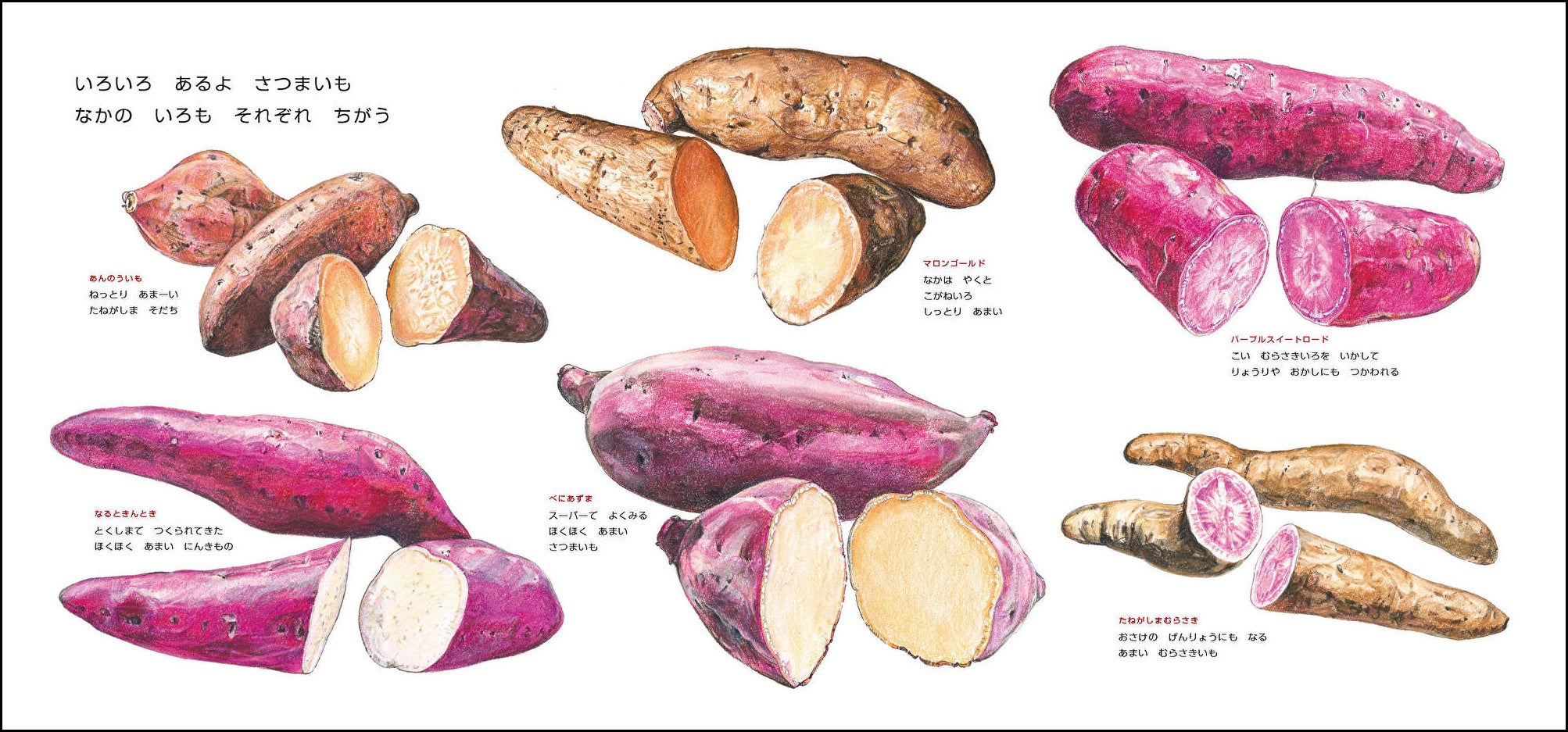 『ごろんずっしり さつまいも』（いわさゆうこ　さく）