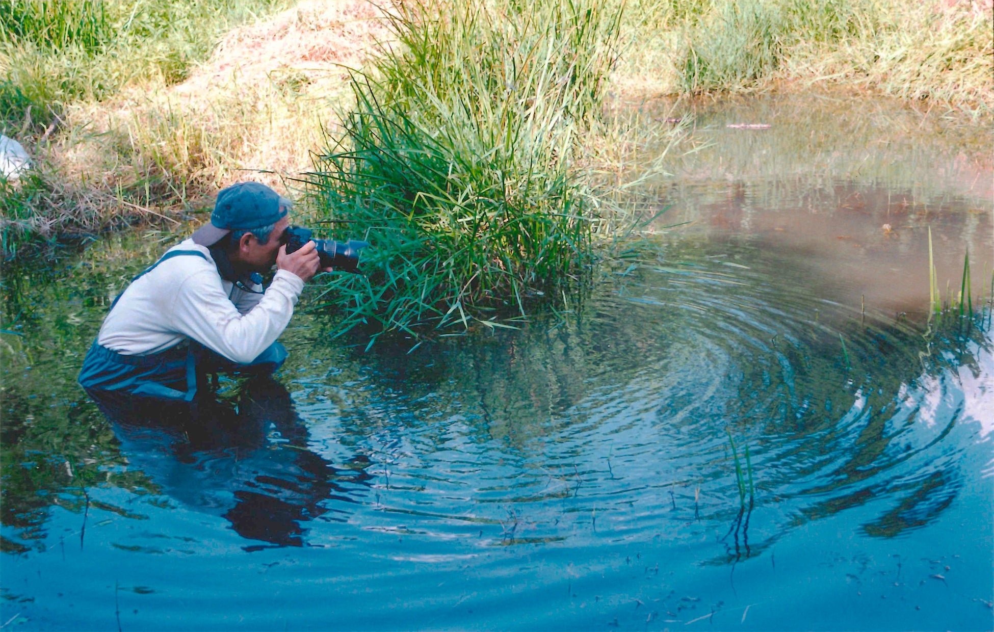 美術館のフィールドにあるため池で『14ひきのとんぼいけ』の取材をするいわむらかずおさん (いわむらかずお絵本の丘美術館 提供)