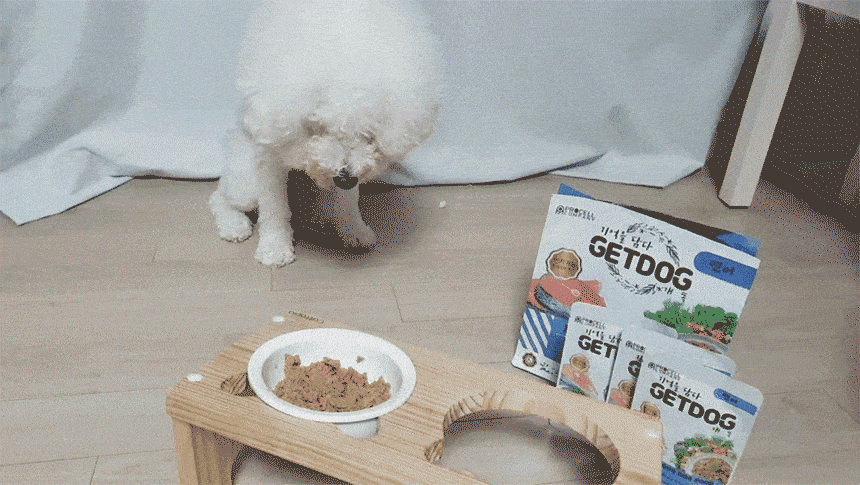 getdogウエットドッグフード