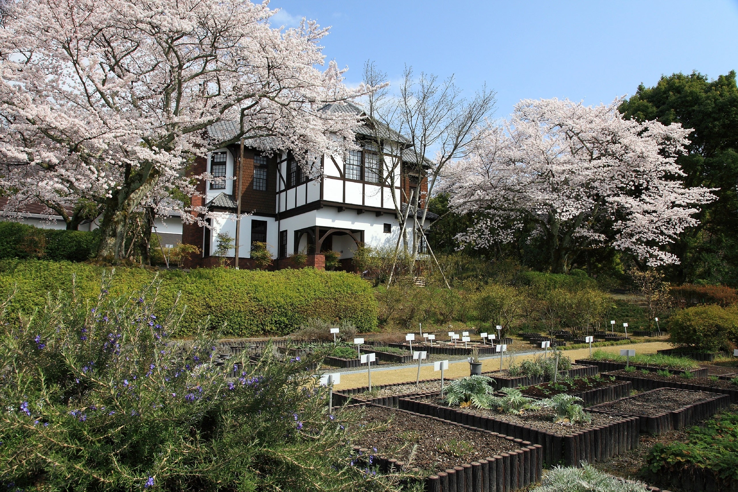京都薬用植物園　展示棟および香辛料園