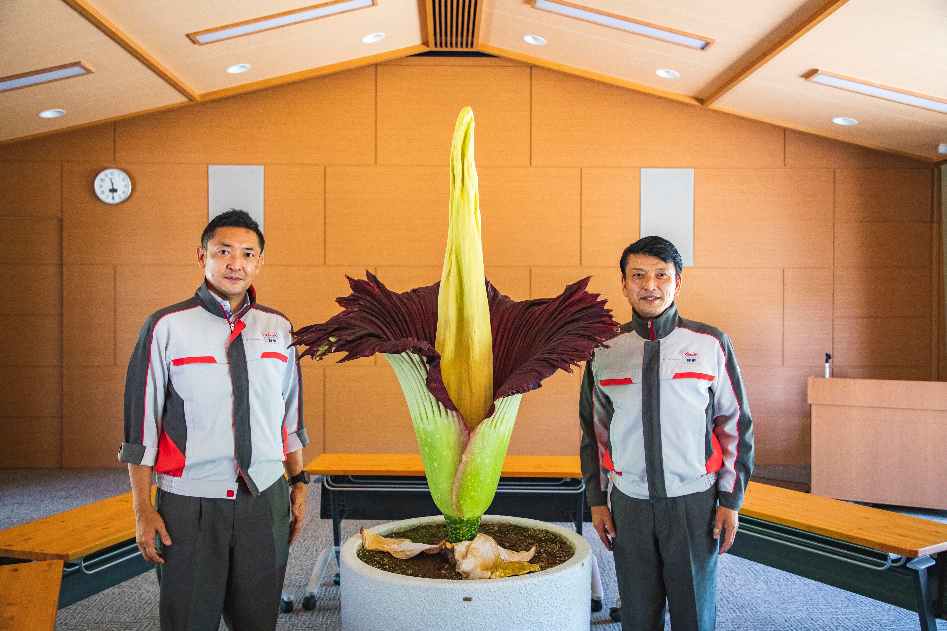 ショクダイオオコンニャク開花  左：園長 野崎、右：栽培担当 坪田