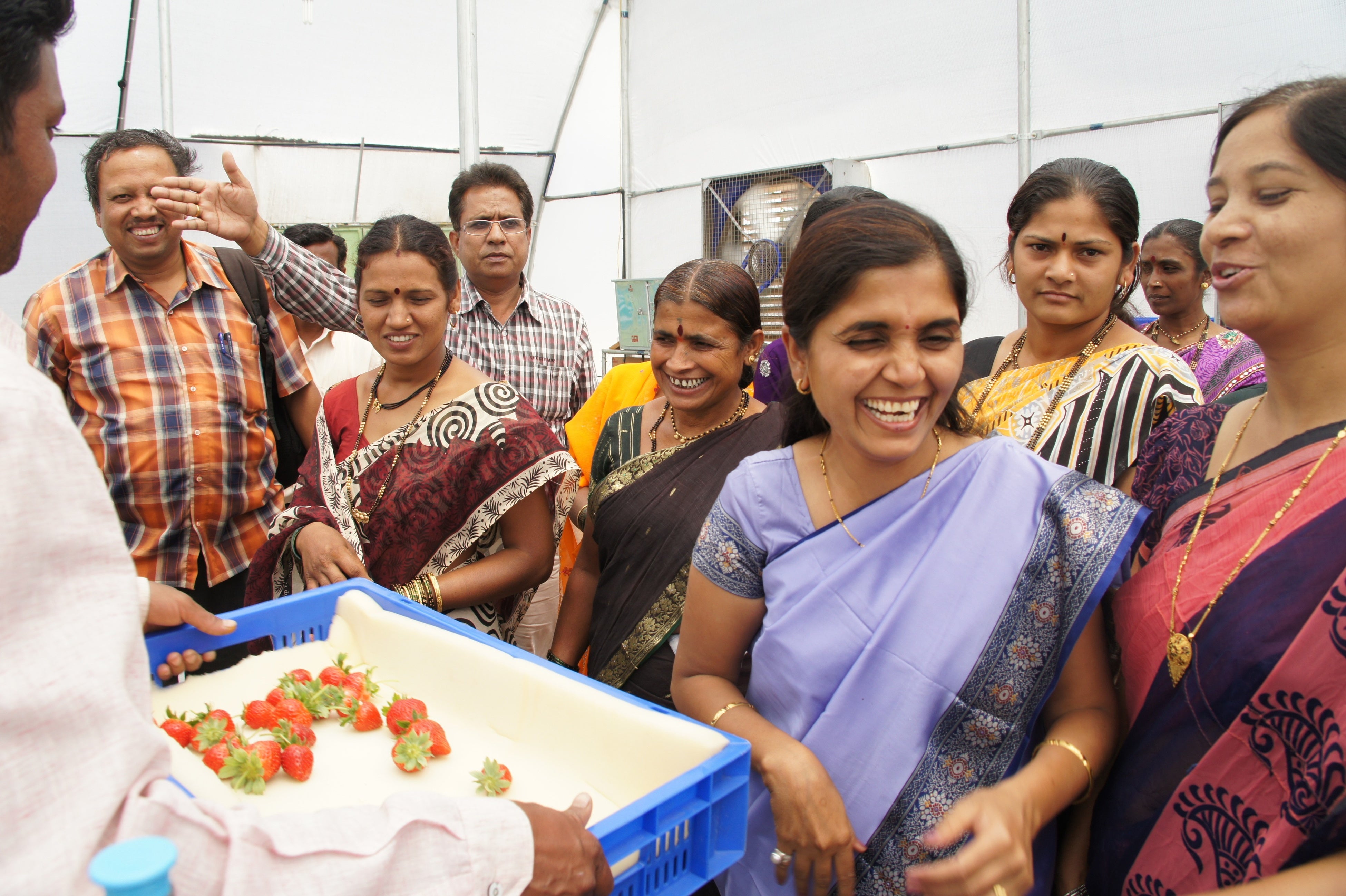 2012年からインドでの栽培実証を開始。2013年には収穫を開始しプネ市内のホテルに販売