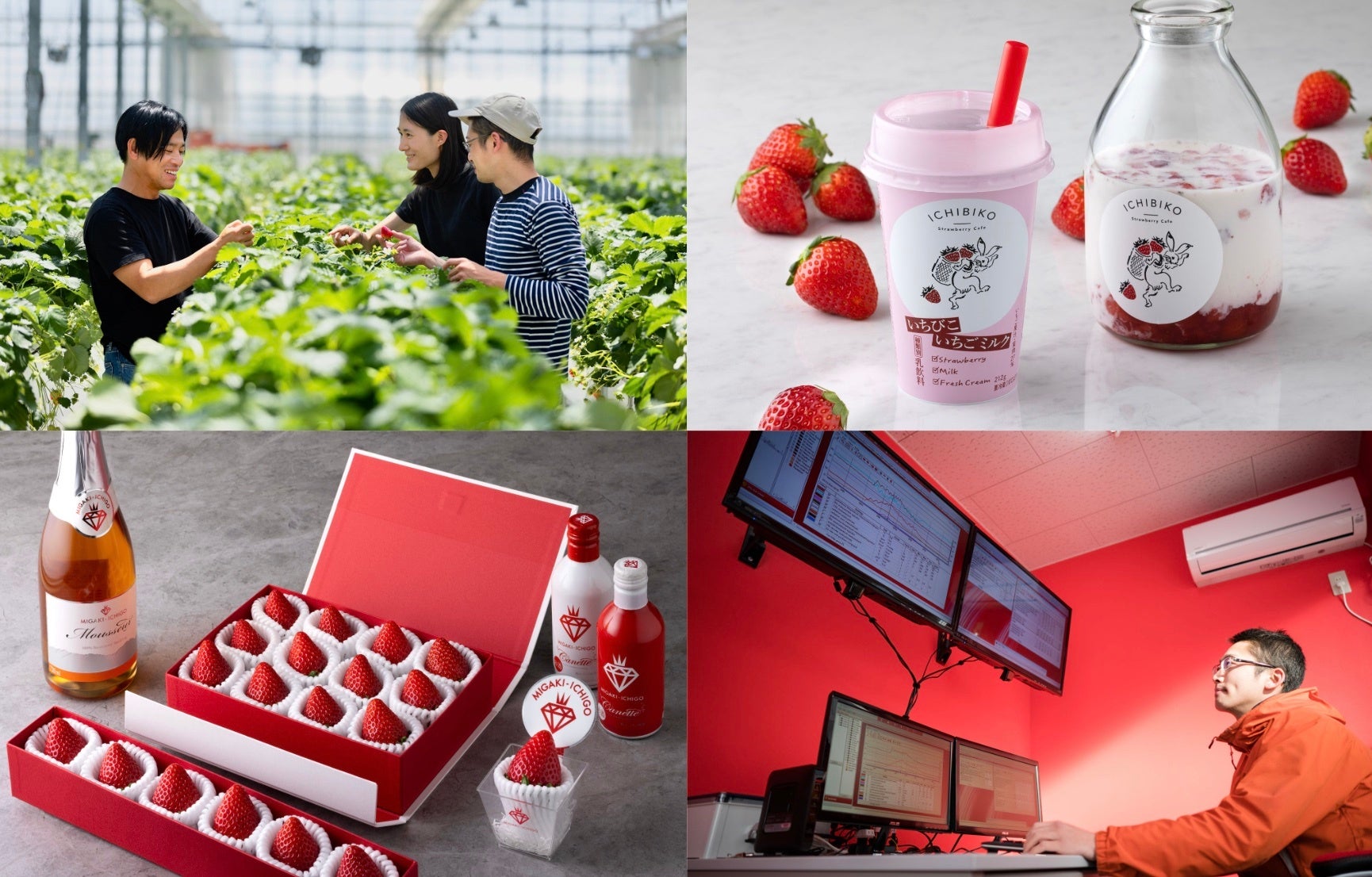 写真 左上：GRAの農園、左下：ミガキイチゴ、右上：いちびこ、右下：環境制御室