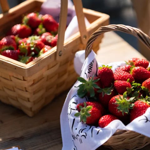 ICHIGO WORLD（イチゴワールド）』（宮城県山元町）にて5月12日(日)に