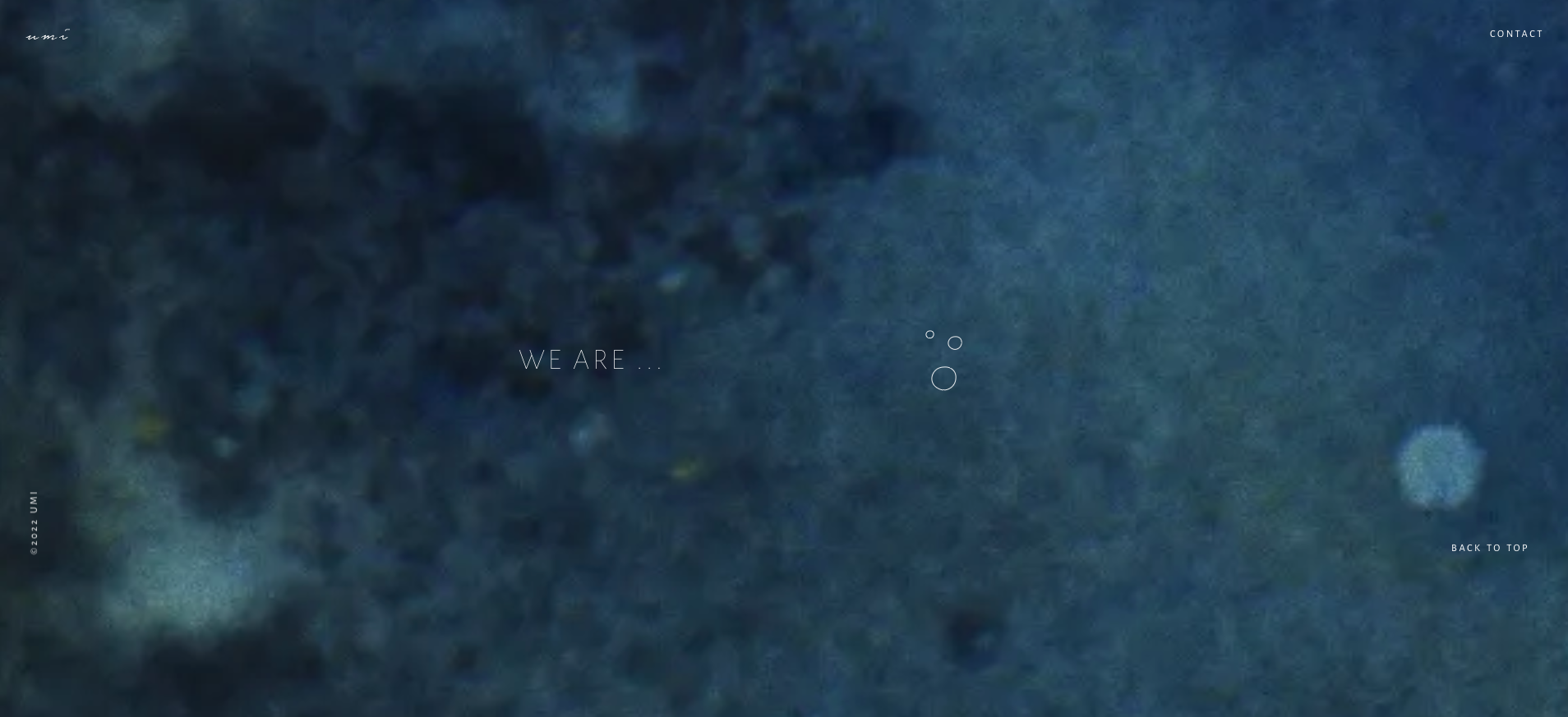 ソーシャルクリエイティブスタジオ「UMI」