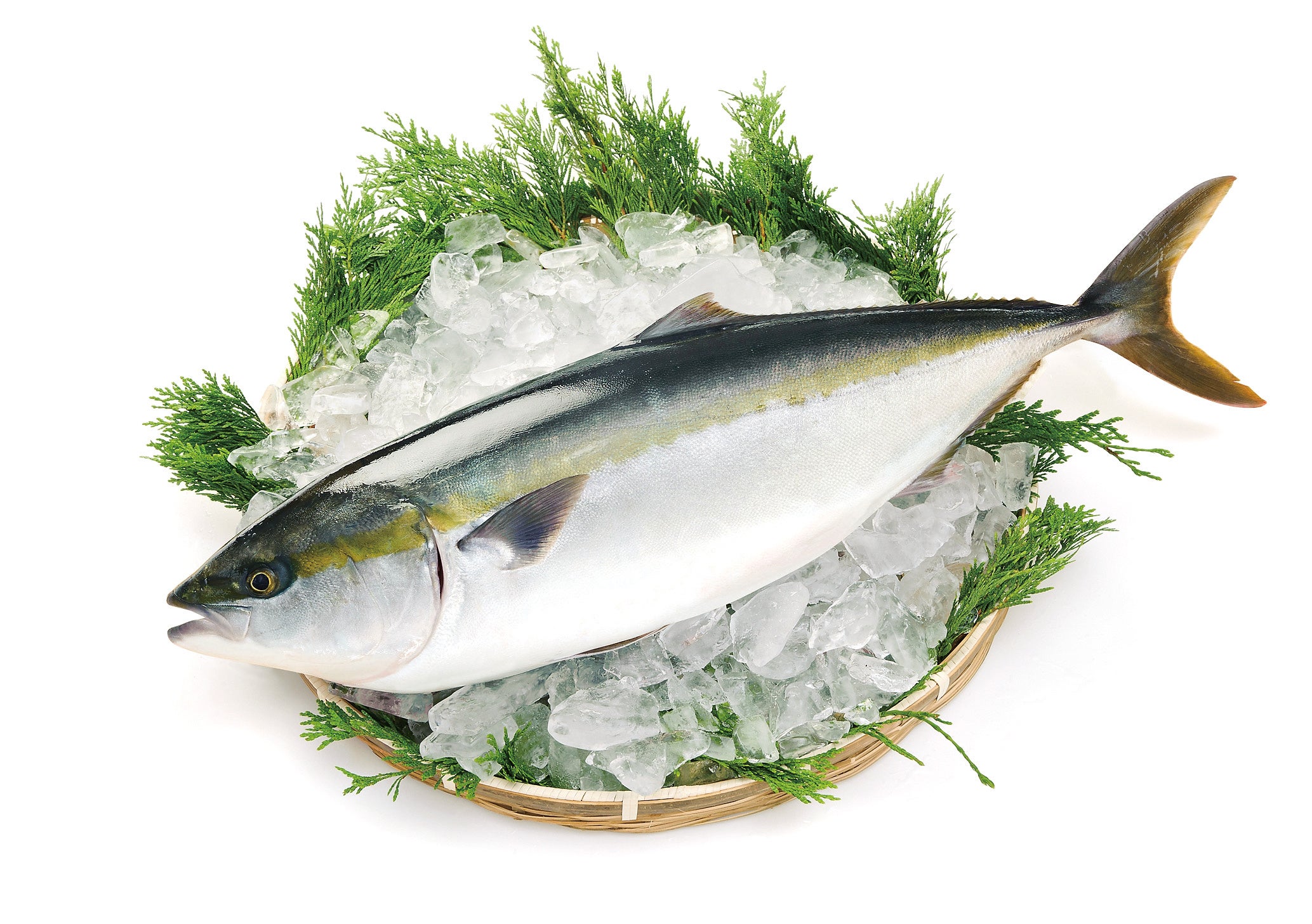 GOWグループのぶり