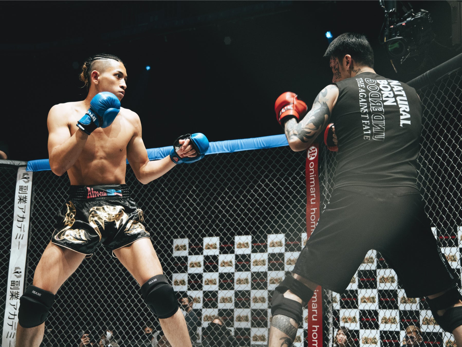 ウェルター級ワンマッチ 74kg 以下:モハン・ドラゴン選手 vs. 啓之輔選手