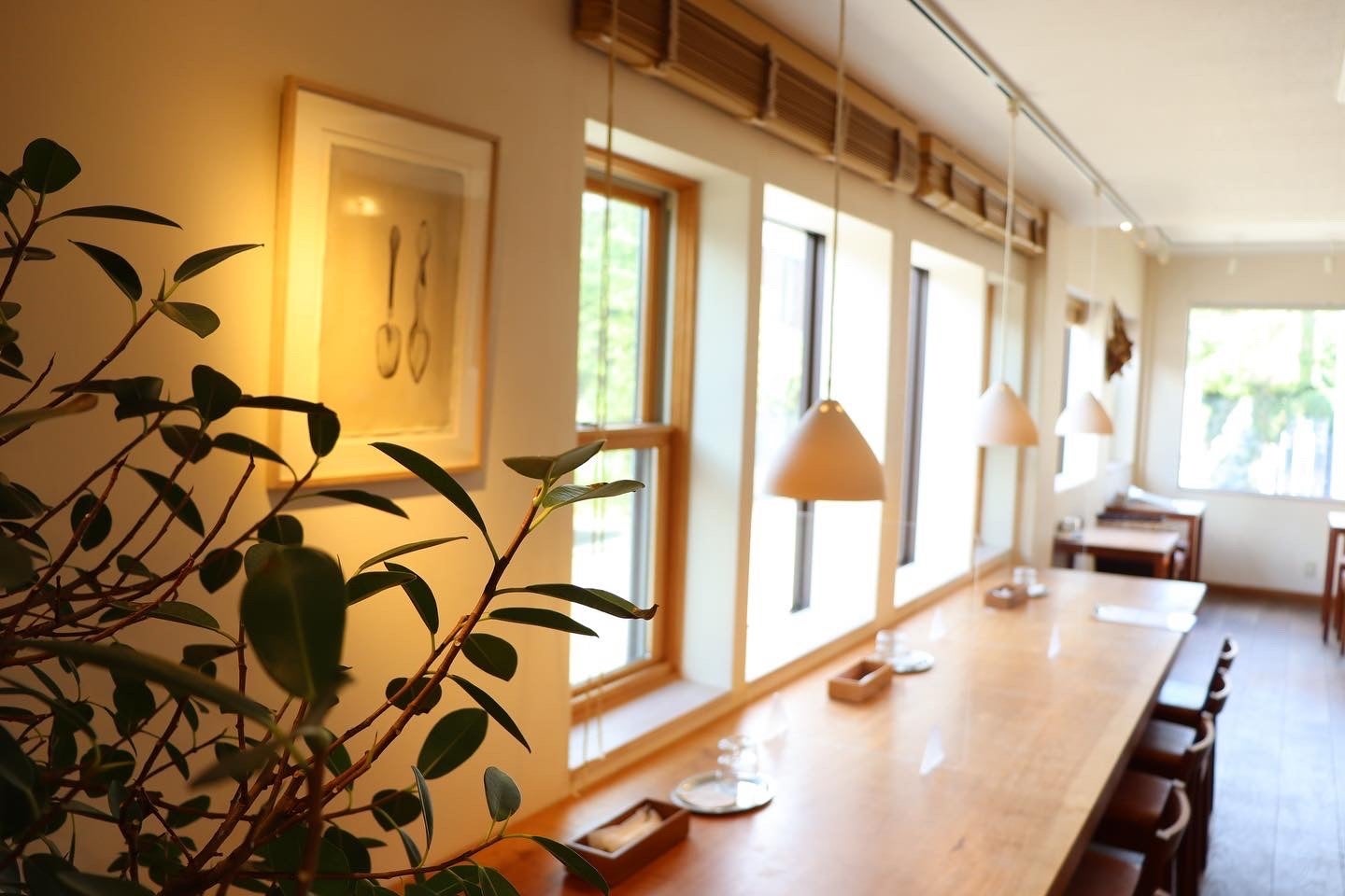 ドライフラワーや植物が溢れる店内は優しい雰囲気でいっぱいです。