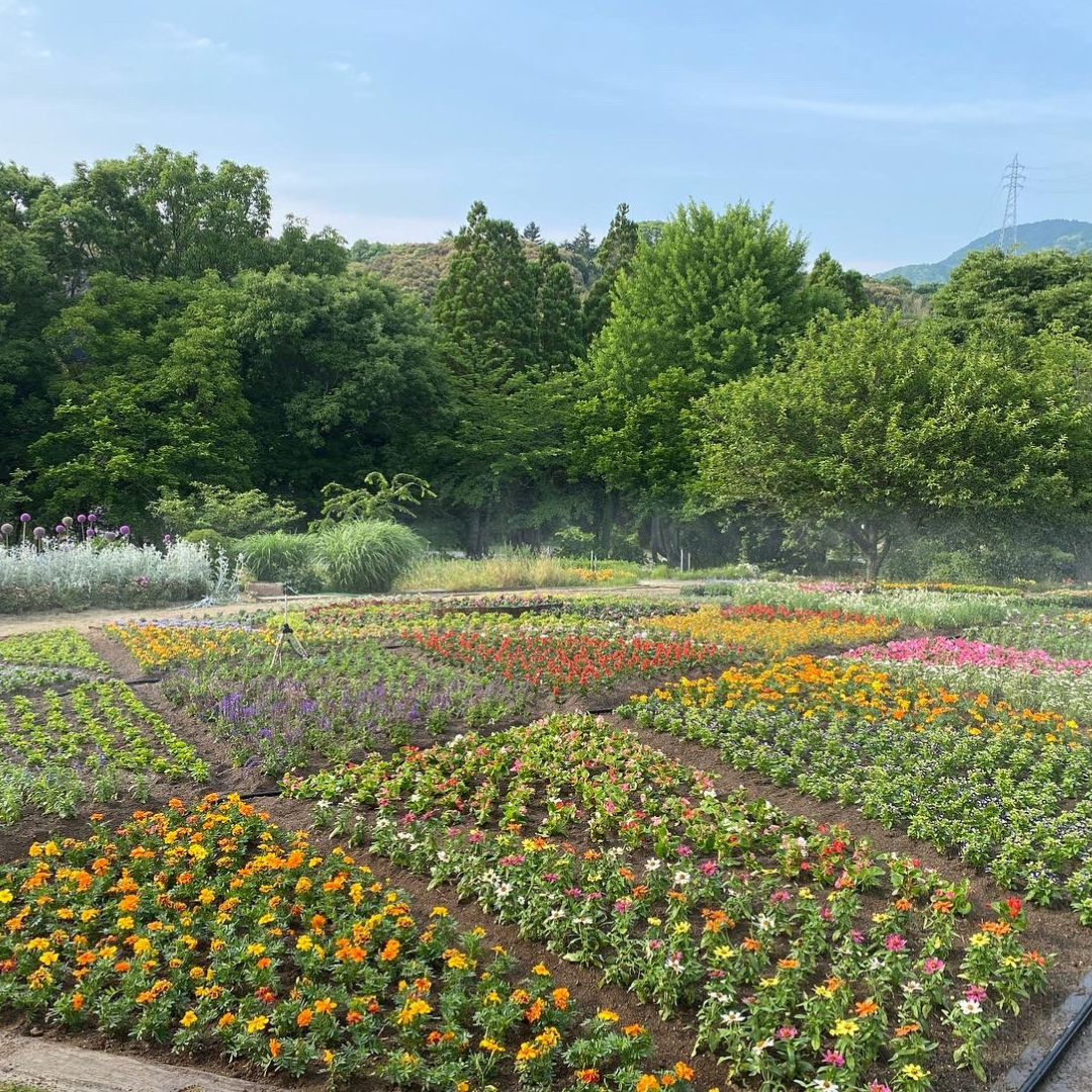 福智山ろく花公園
