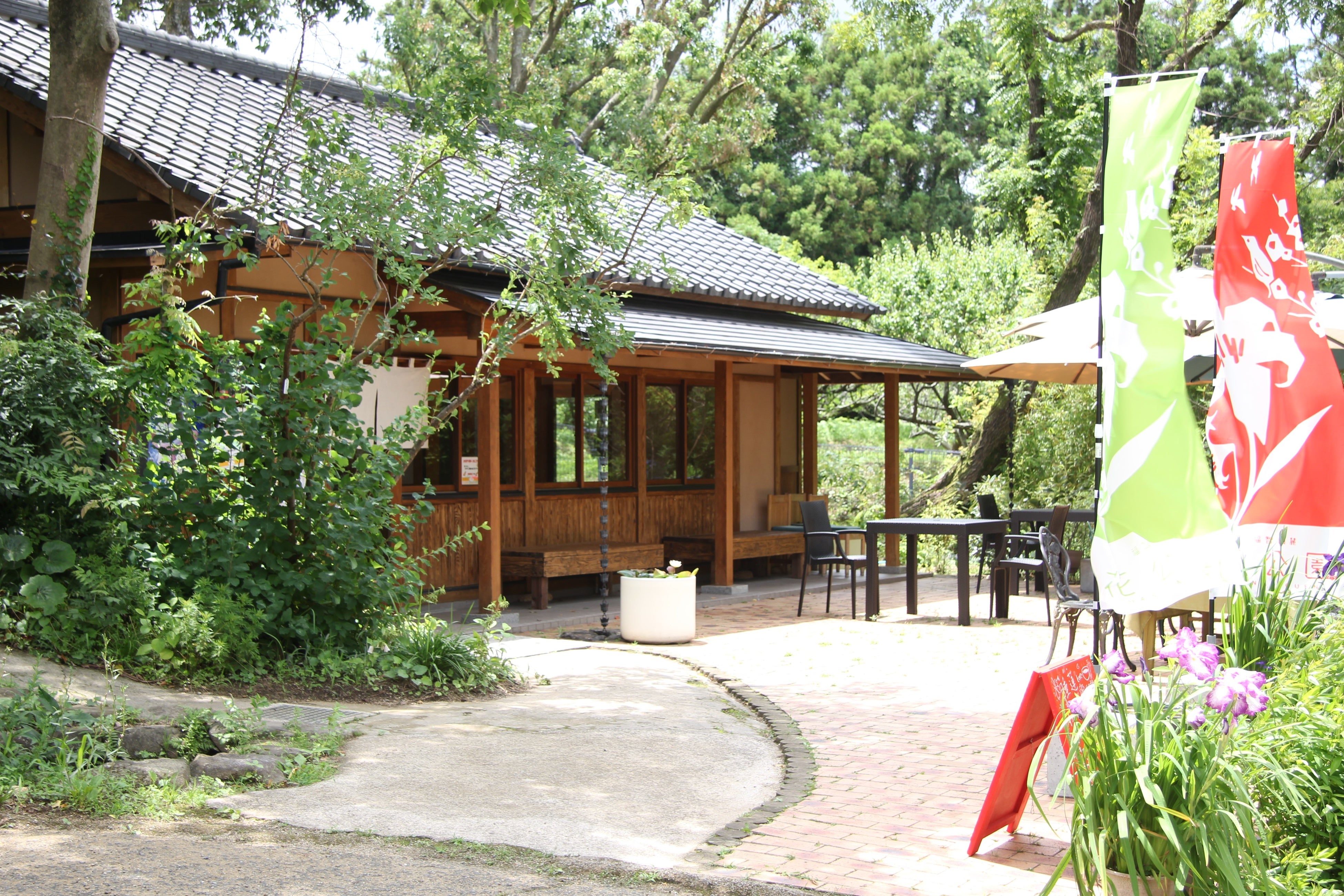 リニューアルした「うどん睡蓮」