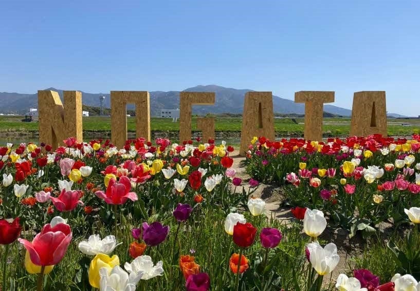 昨年のチューリップフェアの様子