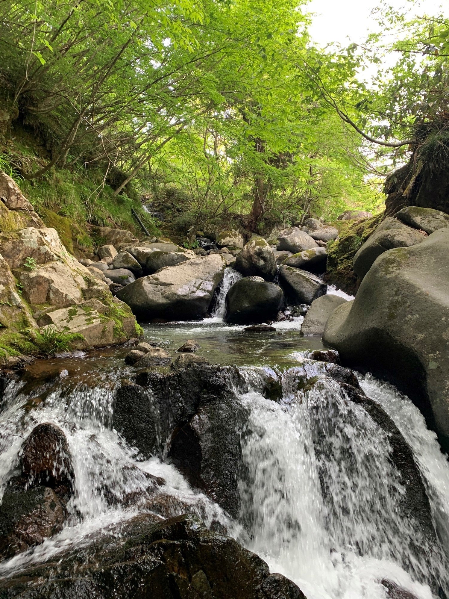長良川支流にて／撮影者：狩野佑介