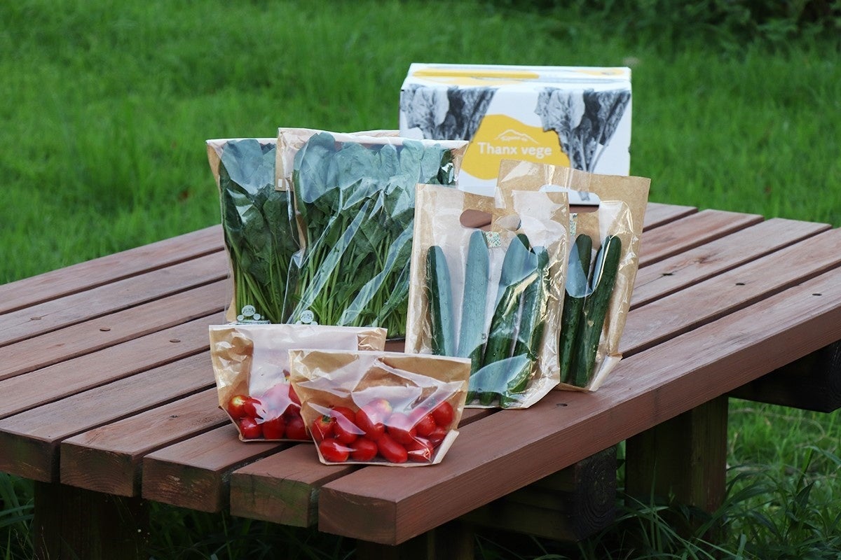 野菜パッケージ　イメージ