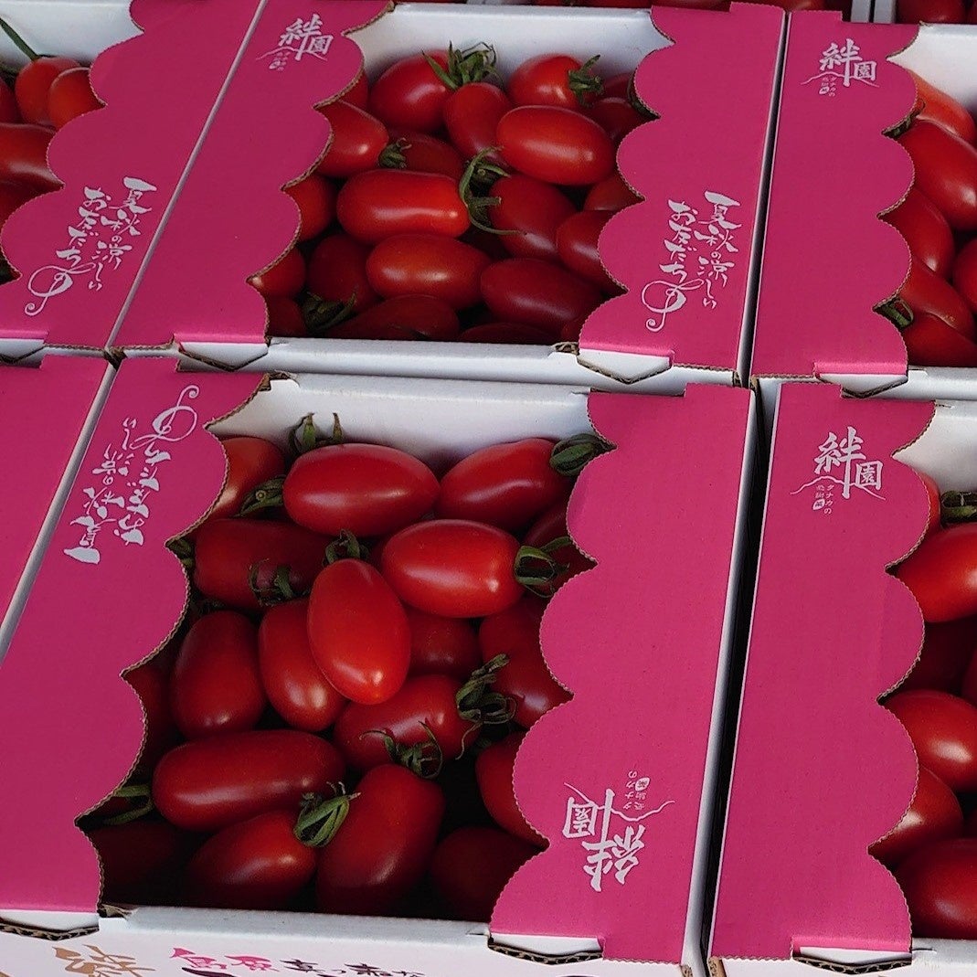 ミニトマト　イメージ