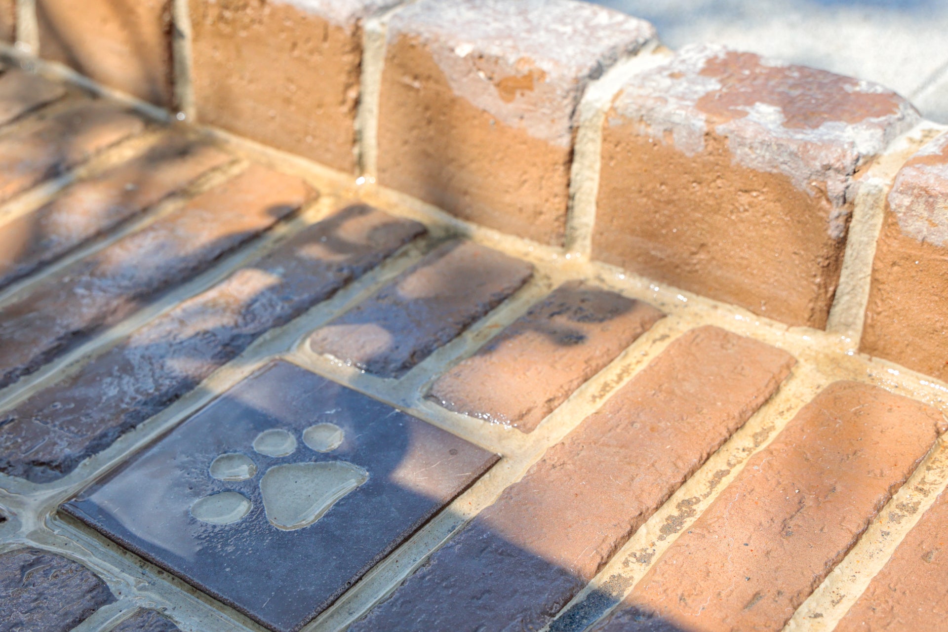 ▲場内のペット休憩スペース（イメージ②）