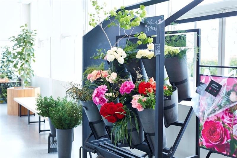 “五感”で楽しむ いばらきフラワーパーク イメージ