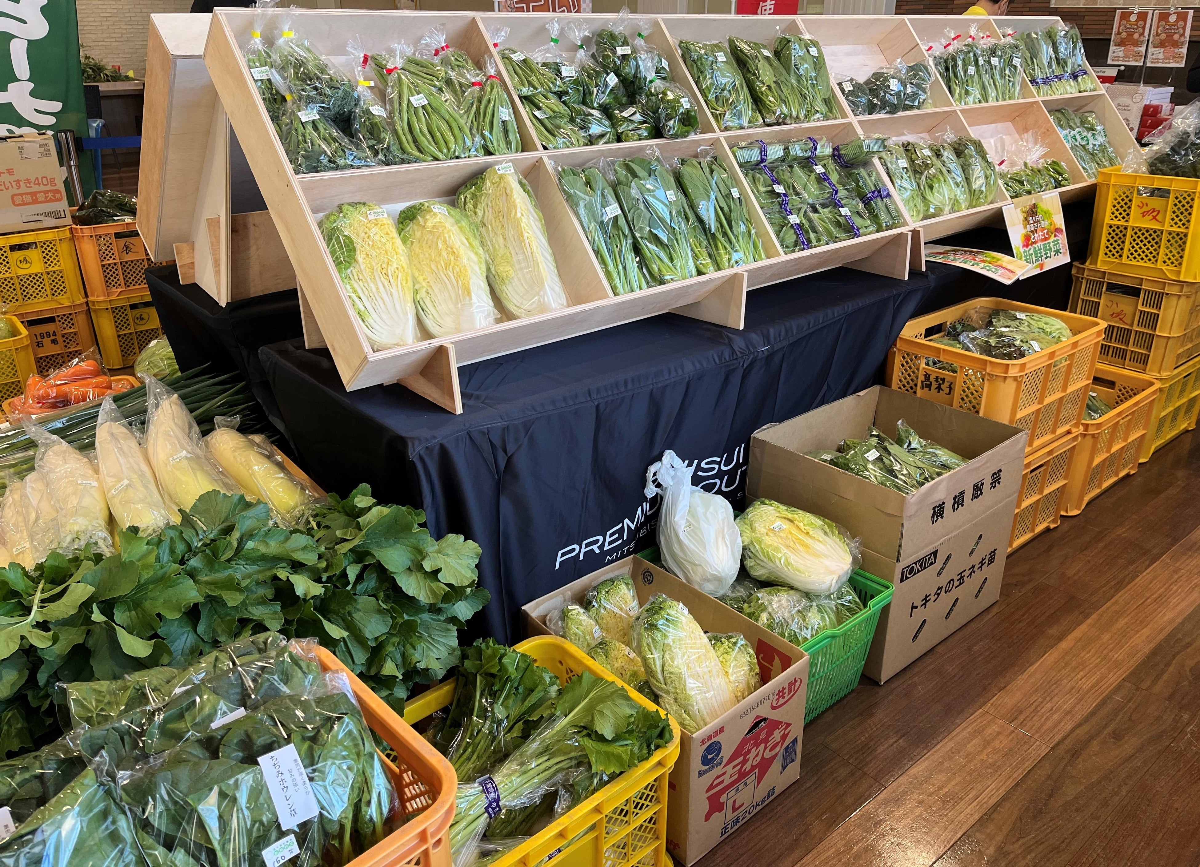 しすいマルシェ 過去開催時の様子