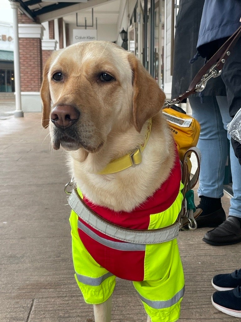シンディー（4歳）