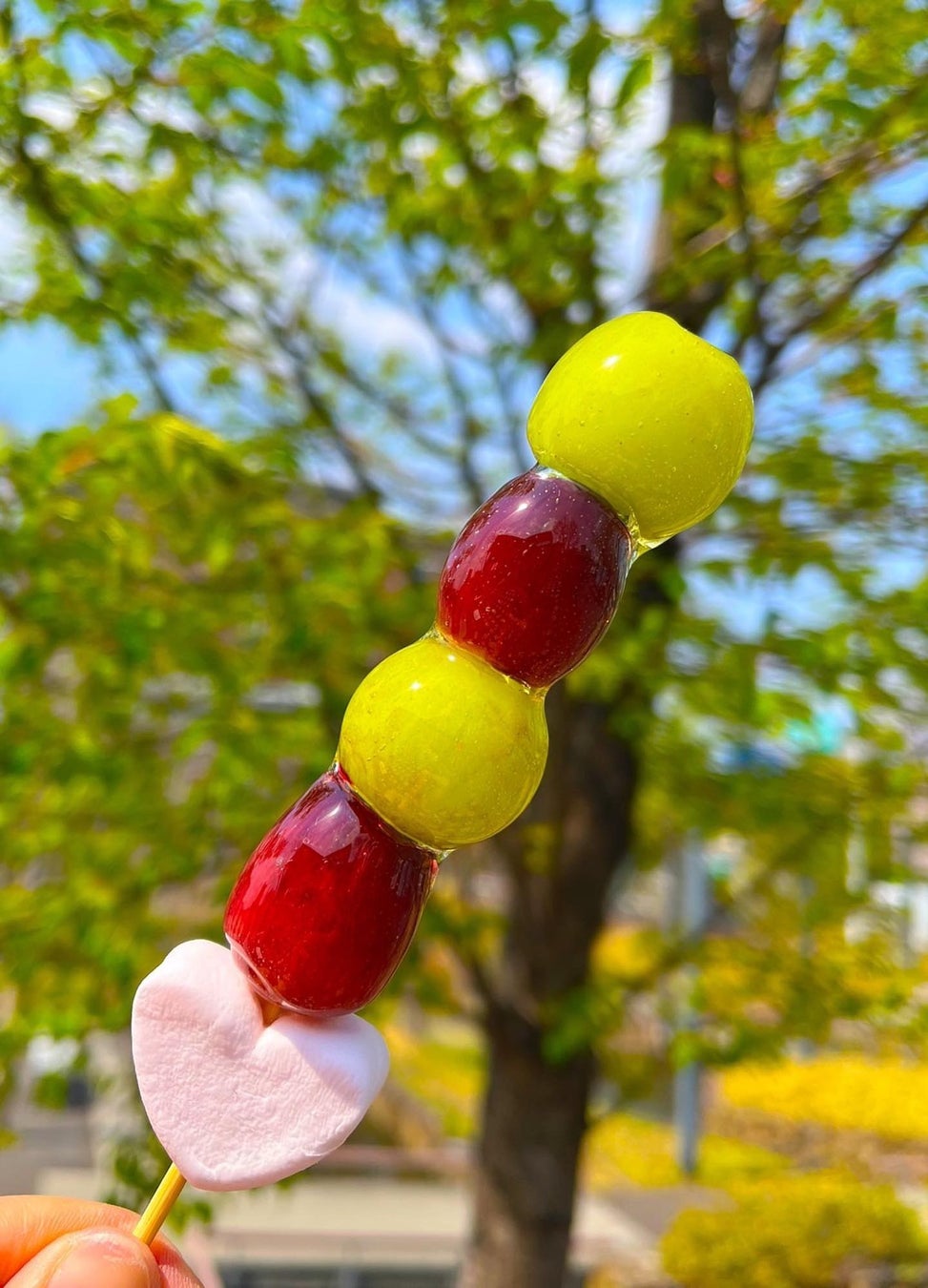 フルーツ飴 イメージ